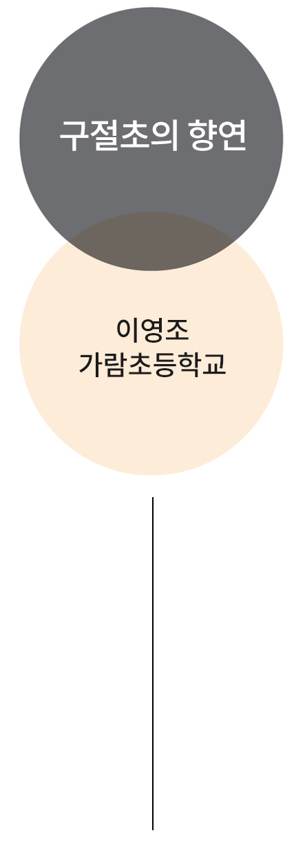 구절초의 향연 이영조 가람초등학교