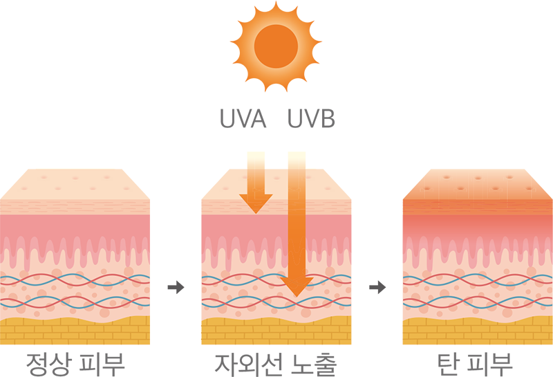 슬기로운 건강생활02