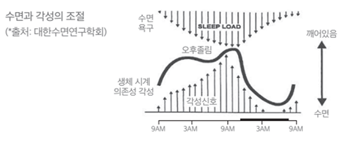 슬기로운 건강생활02