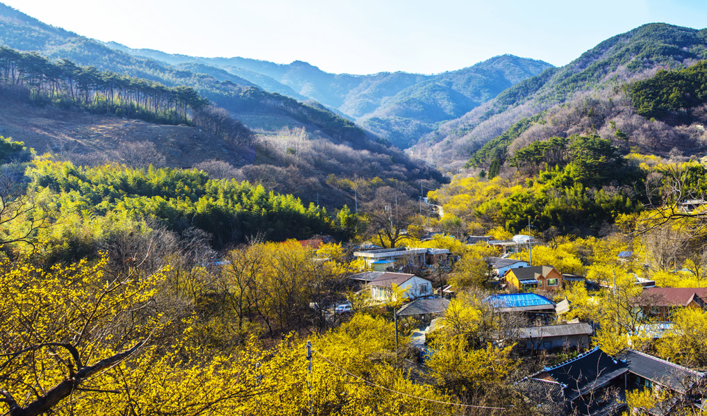 지리산가족호텔