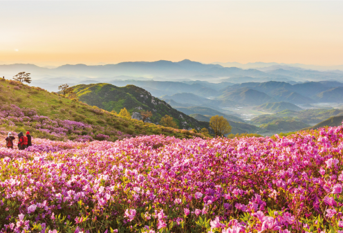  우리땅 구석구석